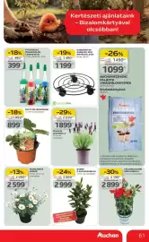 Auchan akciós újság hét 12 Oldal 61