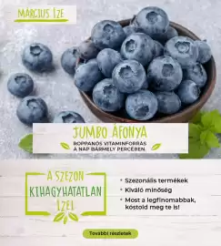 Interspar akciós újság hét 12 Oldal 18