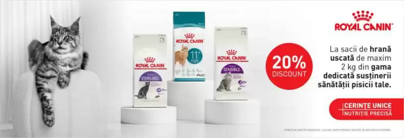 Magazine Animax Pagină 2