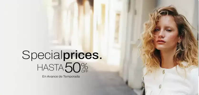 Catálogo ASH (válido hasta 1-04)