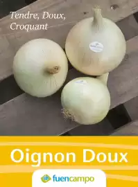 Catalogue Costco | Connection printemps 2026 page 133