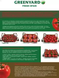 Catalogue Costco | Connection printemps 2026 page 140