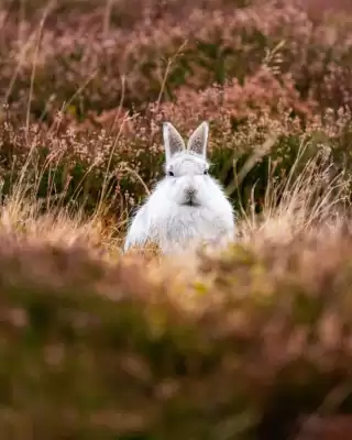 Catálogo Nikon (válido hasta 2-04)