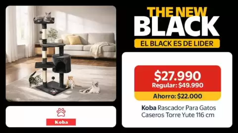 Catálogo Lider Página 13