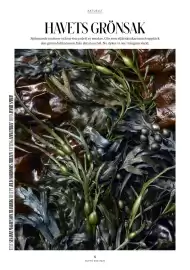 ICA Buffé reklamblad Sida 5