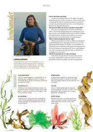 ICA Buffé reklamblad Sida 6