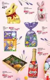 Catalog Selgros Pagină 3