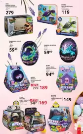 Catalog Selgros Pagină 41