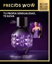 Catálogo Cyzone Página 11