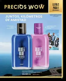 Catálogo Cyzone Página 27