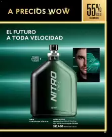 Catálogo Cyzone Página 33