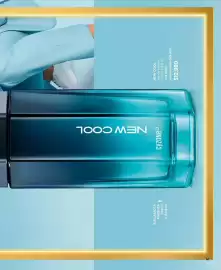 Catálogo Cyzone Página 41