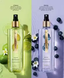 Catálogo L'Bel Página 26