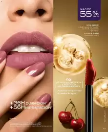 Catálogo L'Bel Página 93