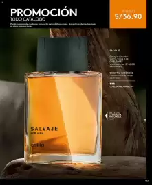 Catálogo Ésika Página 165