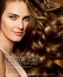 Catálogo L'Bel Página 62