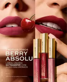 Catálogo L'Bel Página 82