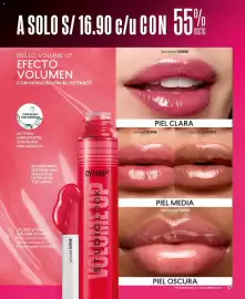 Catálogo Cyzone Página 109