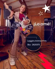 Catálogo Ficcus Página 1