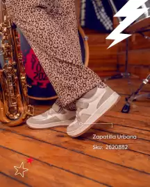 Catálogo Ficcus Página 2