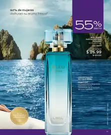 Catálogo L'bel Página 13