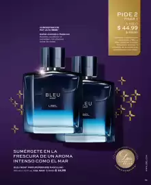 Catálogo L'bel Página 19