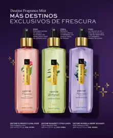 Catálogo L'bel Página 20