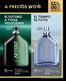 Catálogo Cyzone Página 31