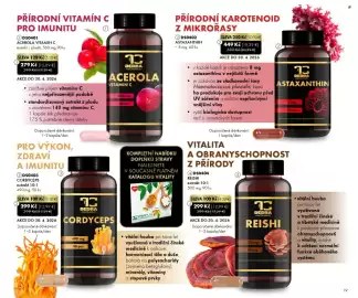 Dedra leták Strana 19