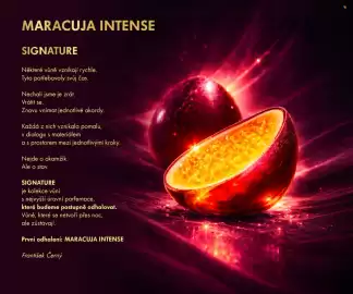 Dedra leták Strana 2