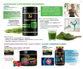 Dedra leták Strana 6