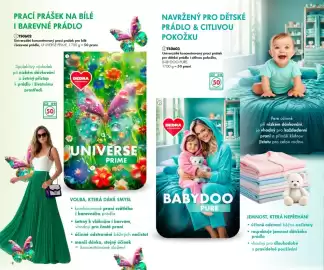 Dedra leták Strana 8