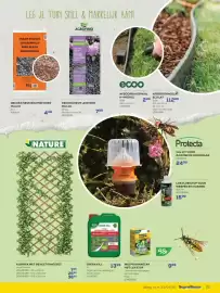 Supra Bazar folder Pagina 15