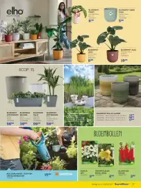 Supra Bazar folder Pagina 17