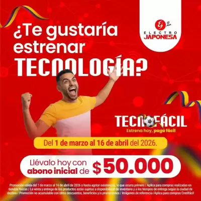 Electrojaponesa (válido hasta 16-04)