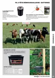 Catalogue Master Pro page 117