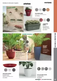 Catalogue Master Pro page 61