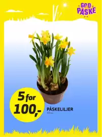 Bunnpris kundeavis uke 13 Side 22