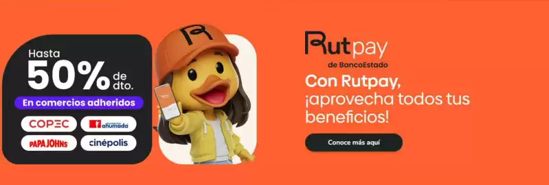 Catálogo Banco Estado Página 2