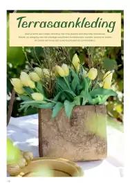 HANOS folder Pagina 12