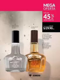 Catálogo Avon Página 232