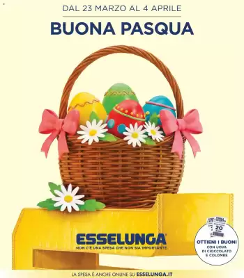 Volantino Esselunga