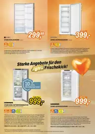 Expert Flugblatt Seite 5