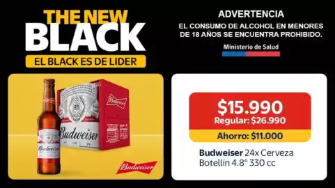 Catálogo Lider Página 9