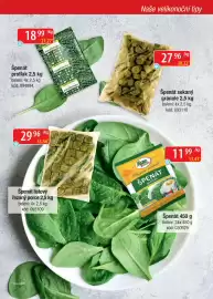 Qanto leták Strana 11