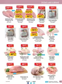 Qanto leták Strana 15