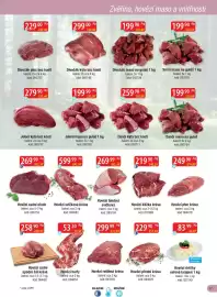 Qanto leták Strana 17