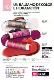 Catálogo Avon Página 51