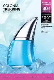 Catálogo Avon Página 96