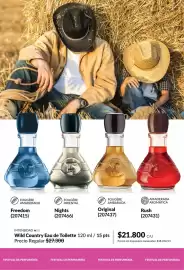 Catálogo Avon Página 99